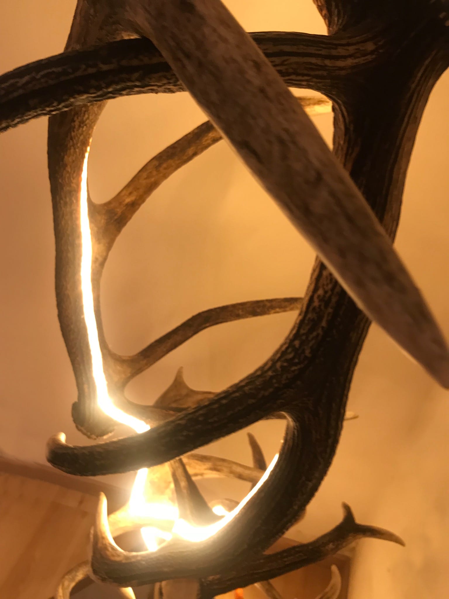 Design Stehlampe aus Geweih und indirekter LED Beleuchtung von OH MY DEER
