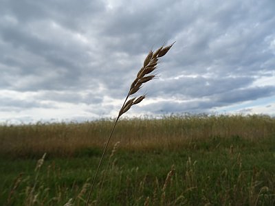 Bilder Aus Der Altmark