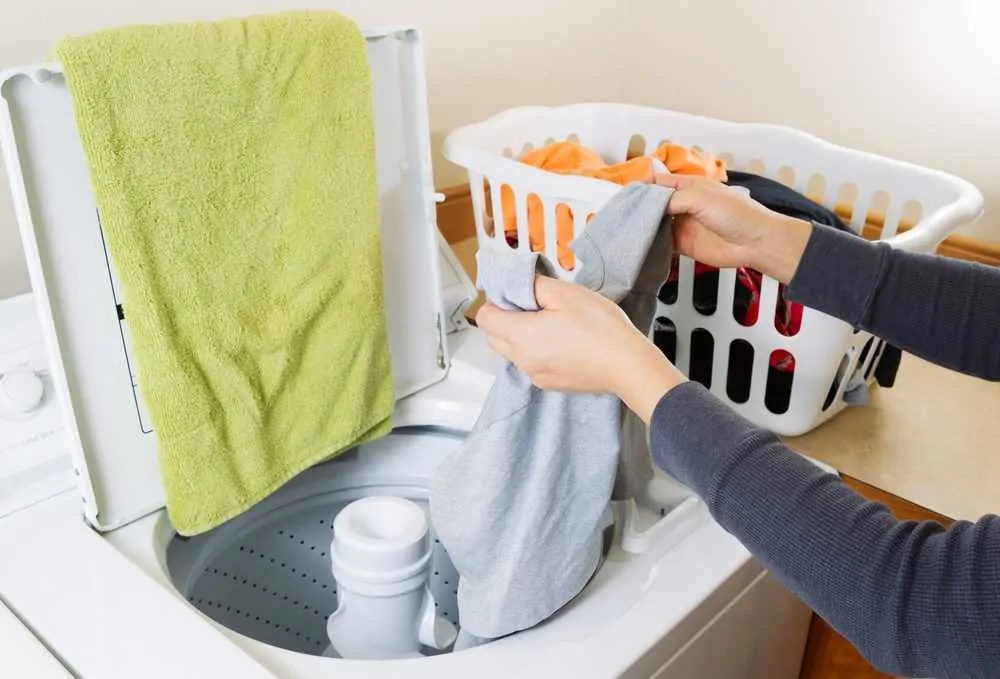 There is a chance that bed bugs will survive the washing machine if you do not use hot water. How To Wash Clothes Exposed To Bedbugs 4 Steps Oh So Spotless