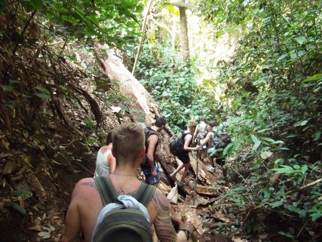Trekking in Chiang Mai, Thailand – Okinawa Hai