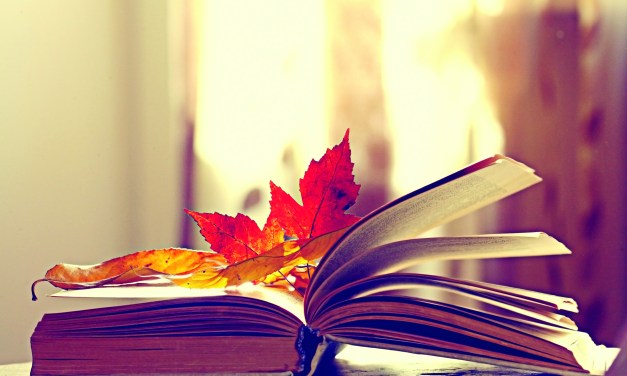 National Novel Writing Month  (NaNoWriMo)