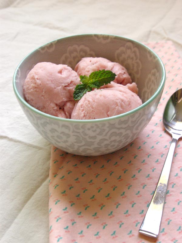 White Nectarine Mint Sorbet Oleander Palm