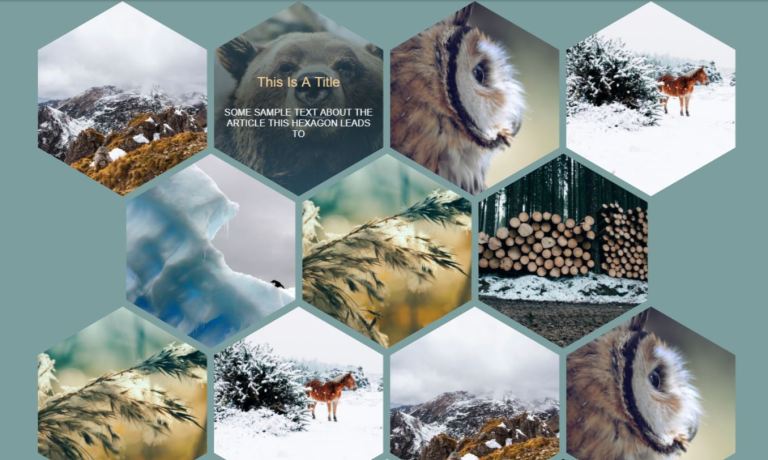 20+ CSS Hexagon Examples with Source Code - OnAirCode