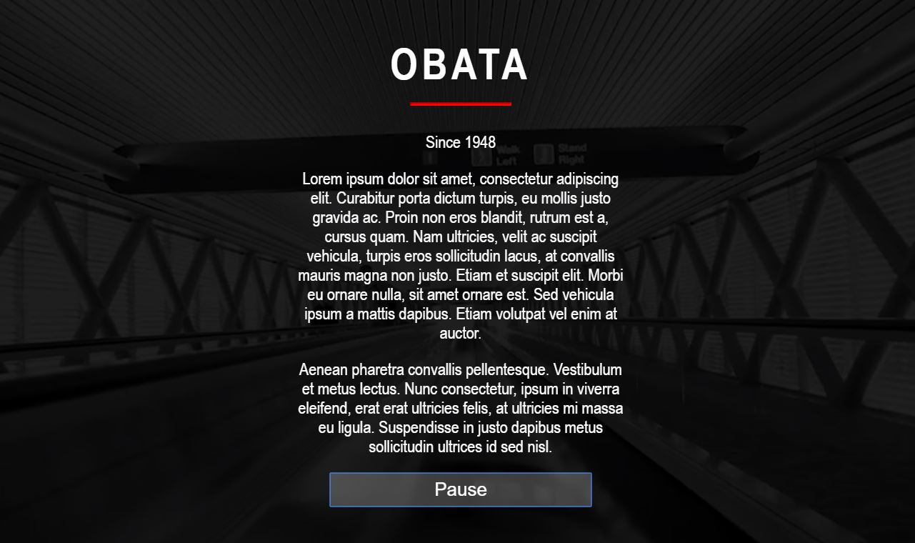 CSS Bootstrap video background