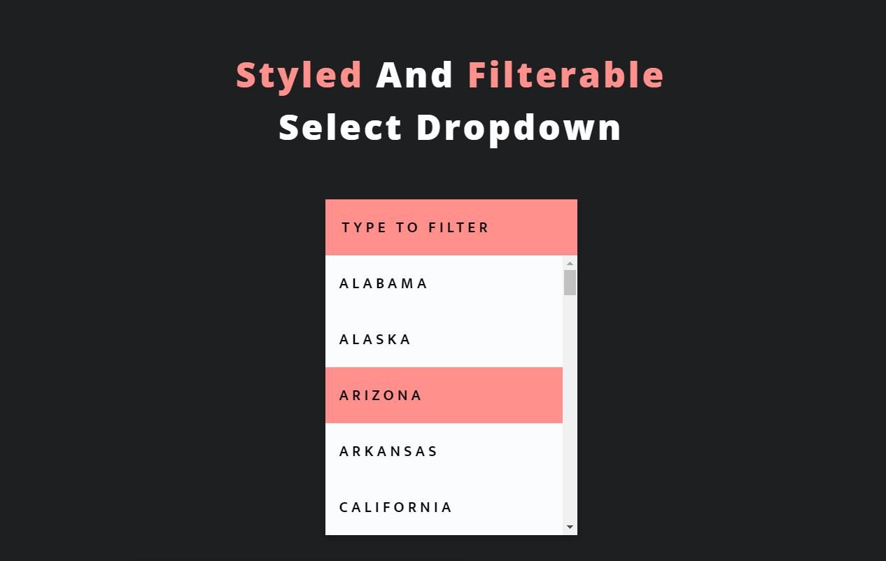 Styled and Filtered JavaScript/JS Select Box example