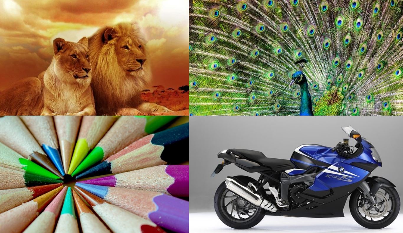 15+ Bootstrap Image Zoom Effect Examples OnAirCode