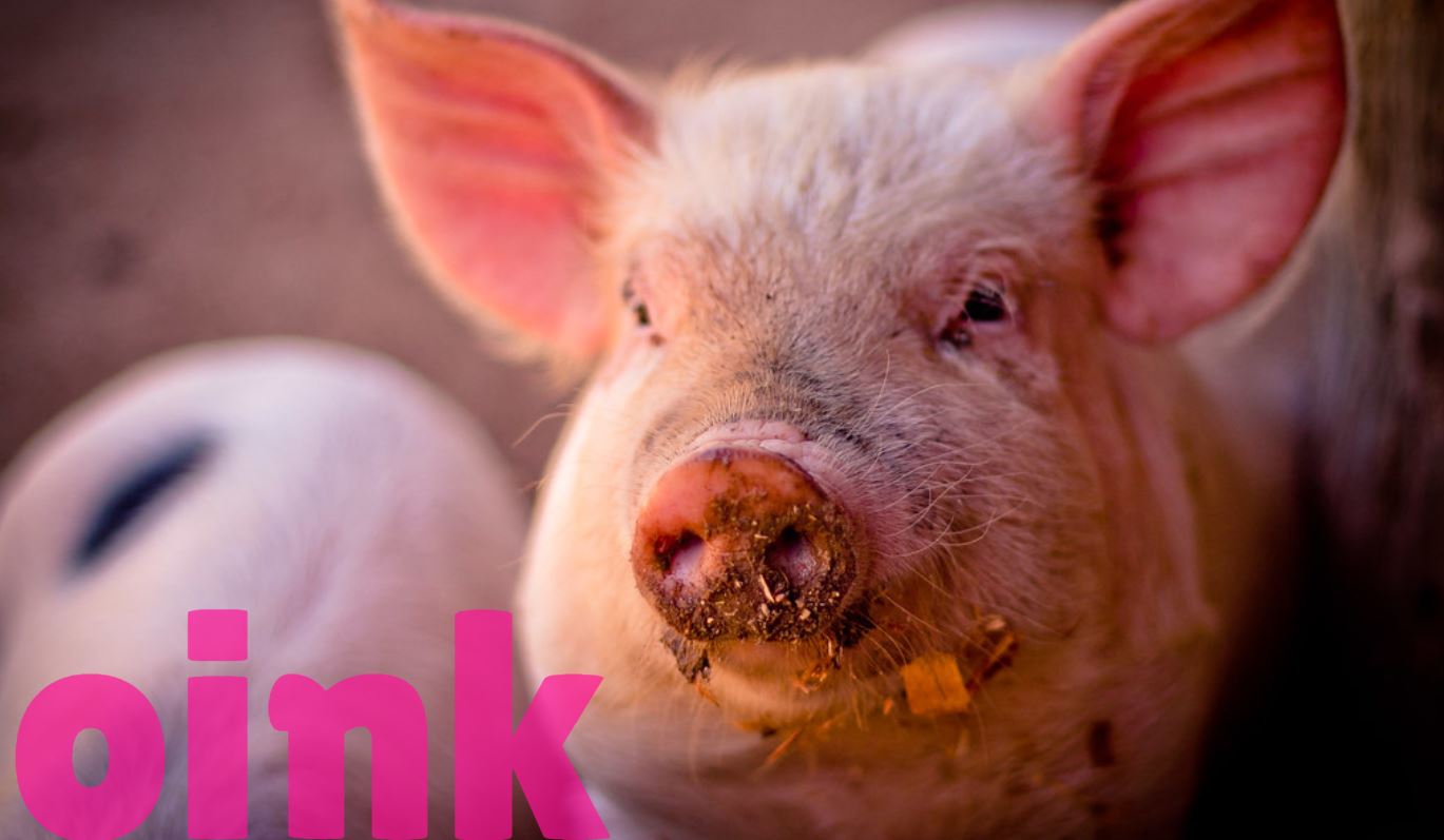 JavaScript Online Magazine Layout design