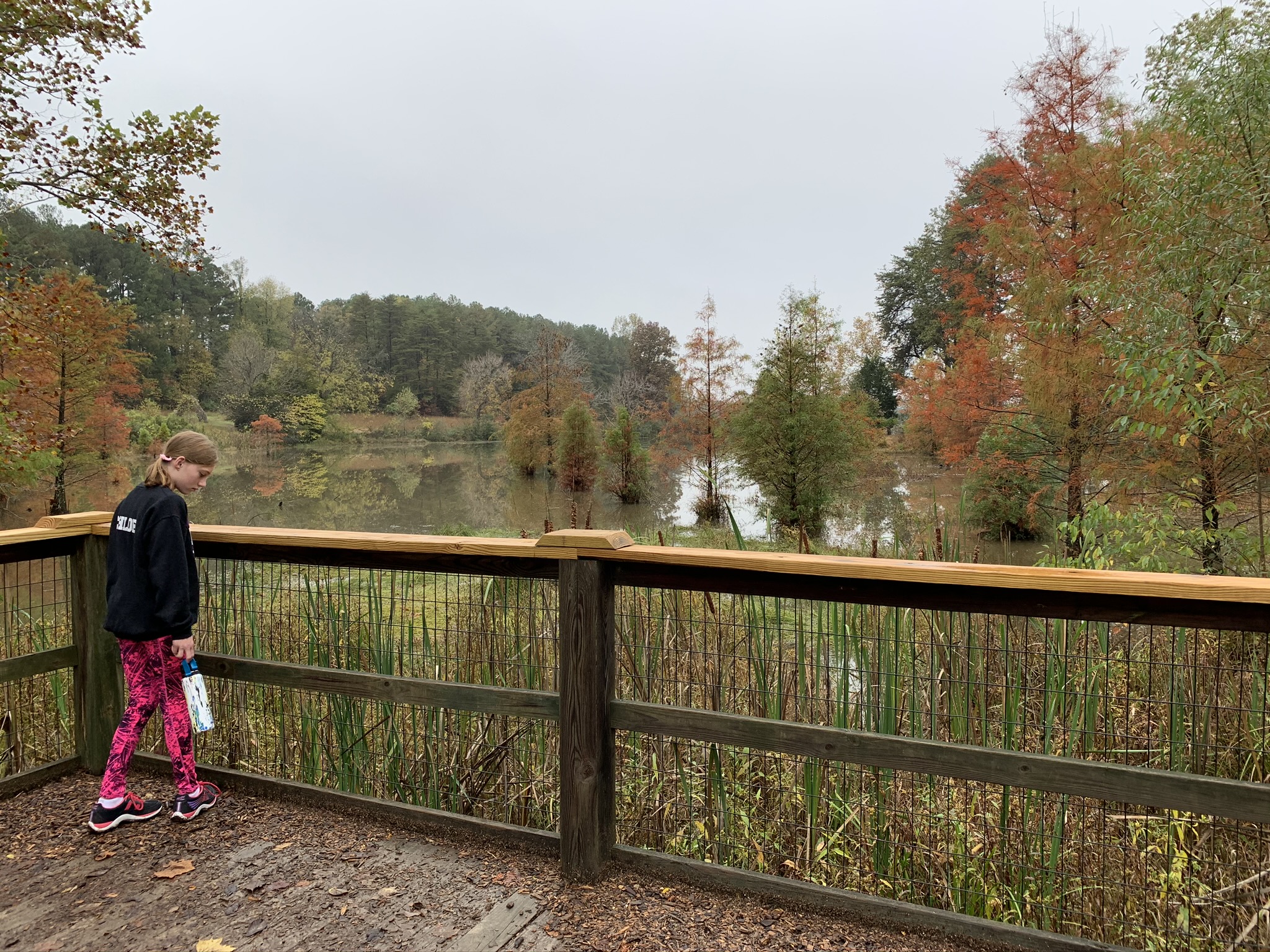 Bernheim Forest Lake Nevin