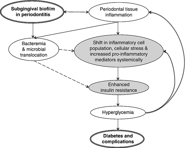 The influence of periodontal disease on glycemic control in diabetes ...