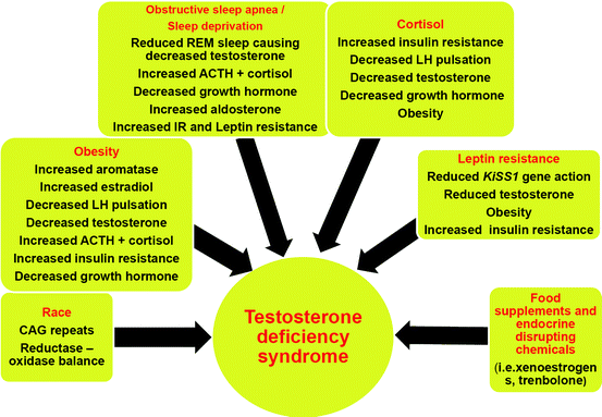 Primary vs secondary hypogonadism image
