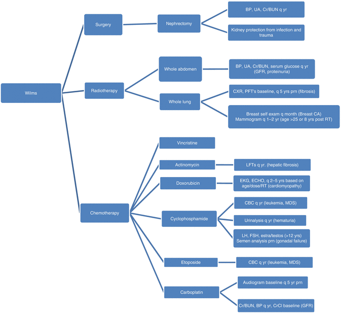 Algorithms of Late Effects by Disease Oncohema Key