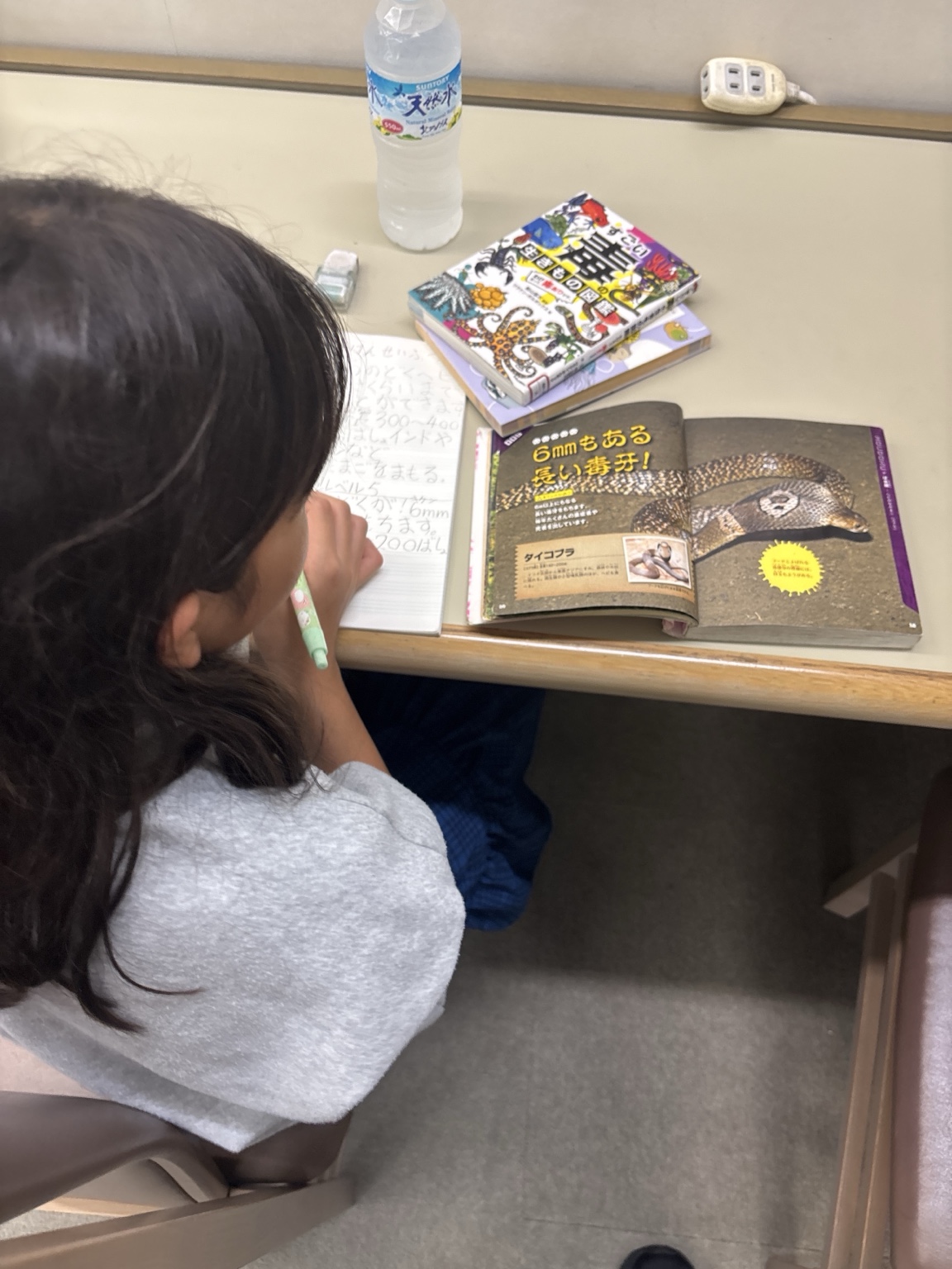 図書館で危険生物の本を読みながらノートを取る娘