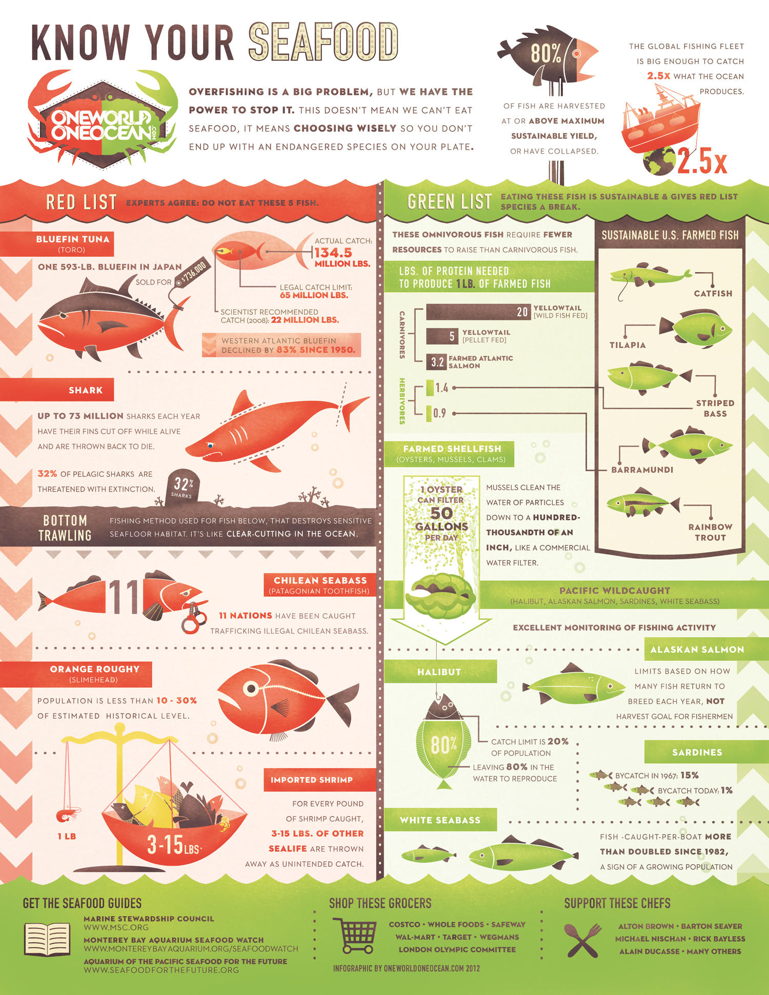 Learn all about freshwater fish at howstuffworks. Know Your Seafood Infographic One World One Ocean