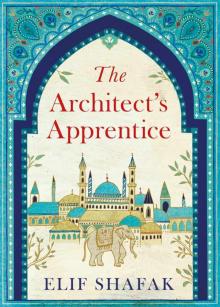 Elif Shafak Books To Read Online Best Elif Shafak Books