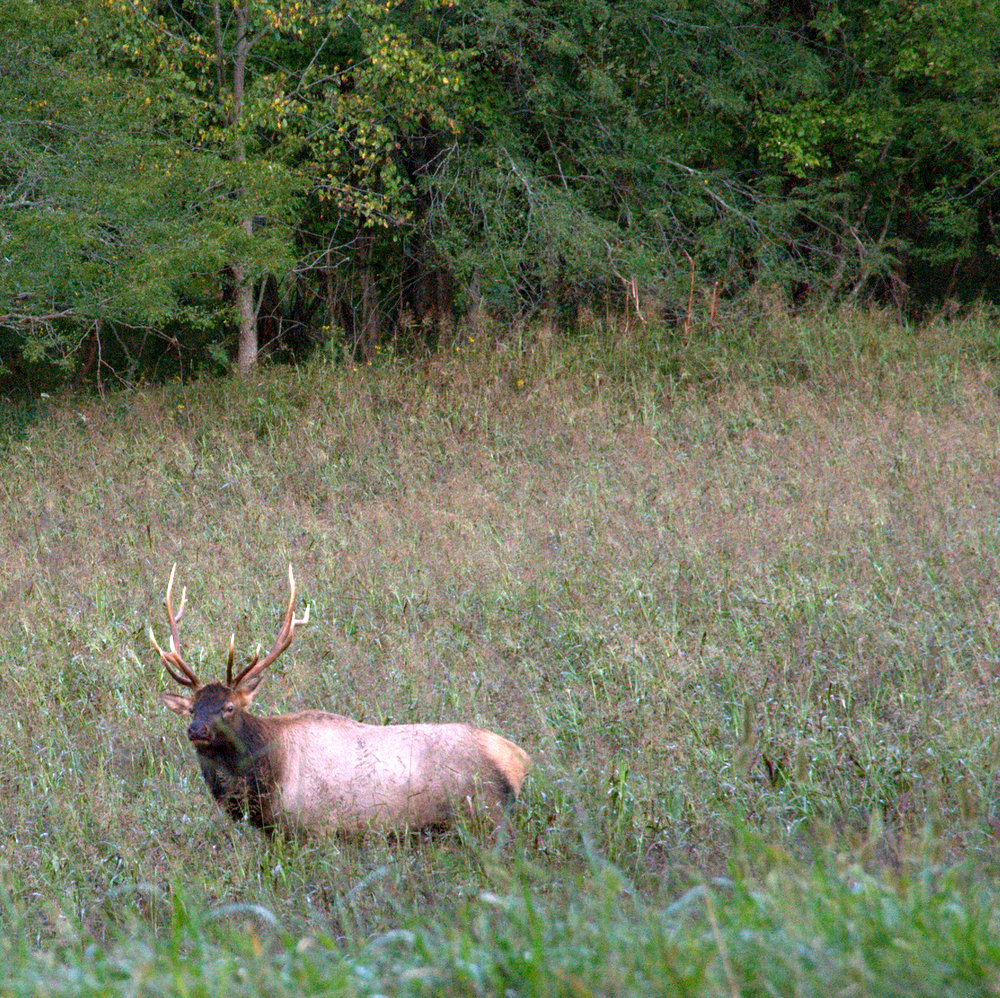 Private cabins for rent in the buffalo river area · arkansas house inn, cabin and cafe · on highway 7at the waterwheel in downtown jasper · phone: Six Things to Do on a Weekend in Jasper, Only in Arkansas