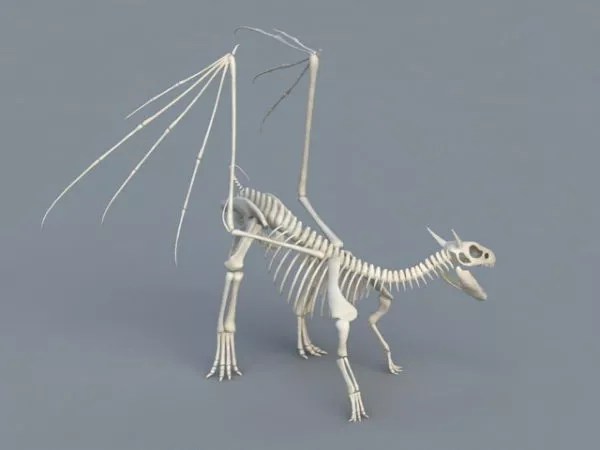 Dinosaurier Skelett Kostenloses 3d Modell Obj Open3dmodel 118730