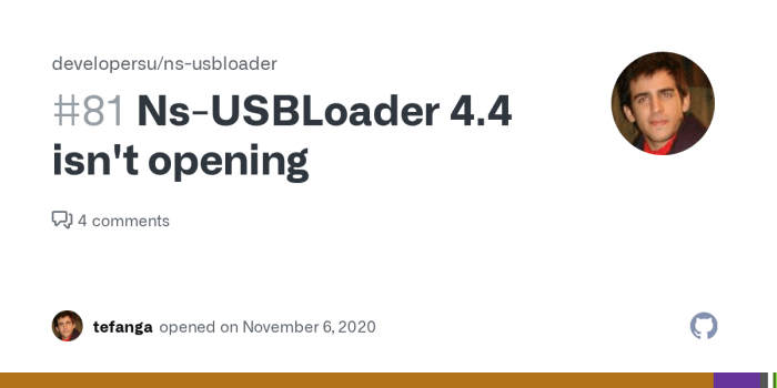 Ns-usbloader download