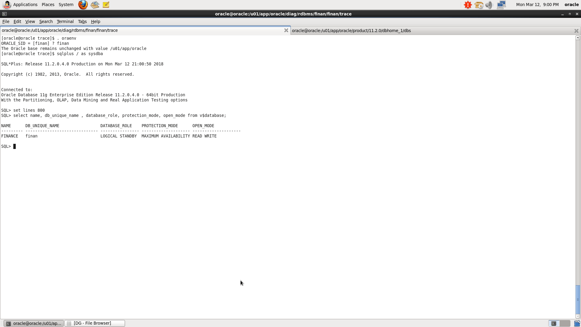 database upgrade in oracle to standby how 12cR2 Oracle Logical Database Using to Upgrading Transient