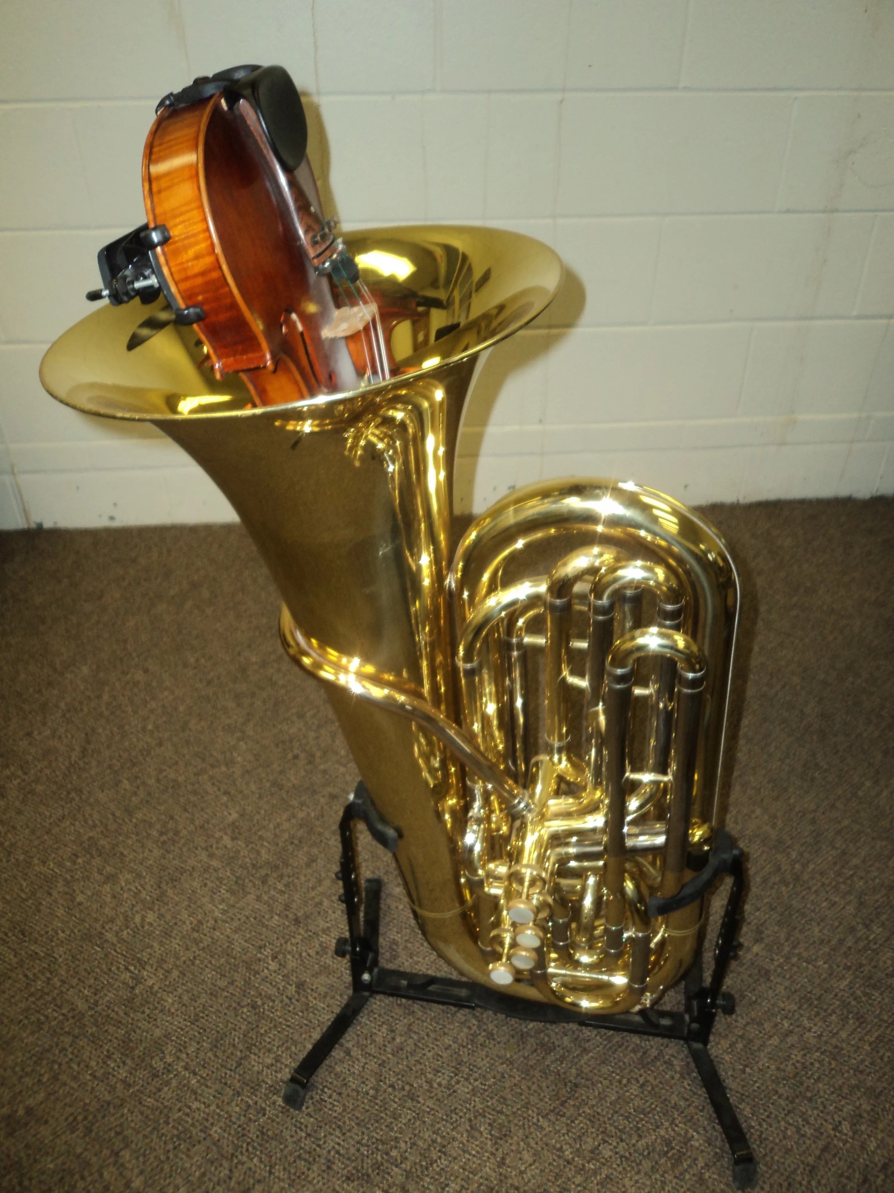 Anabaptist Orchestra Camp Registration Opens March 1st Anabaptist 