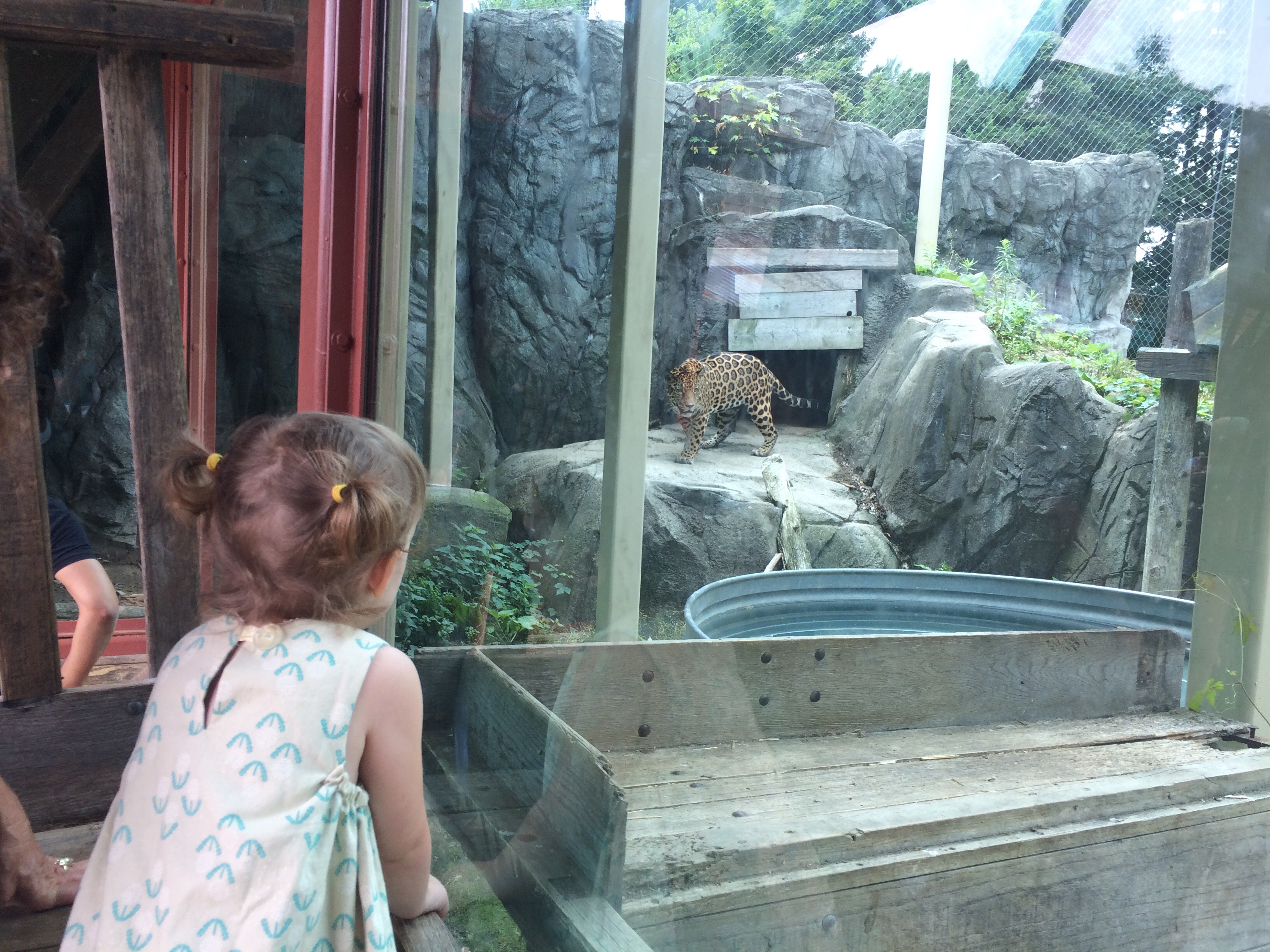 Need a holiday but don’t have the time or energy to plan it properly? August Day Trips From Boston