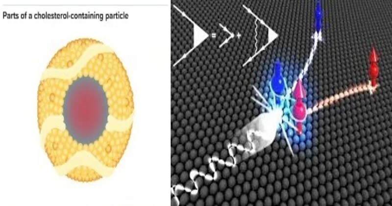 Revolutionizing Quantum Technology: Indian Researchers Discover Breakthrough in Spin Control Revolutionizing Quantum Technology: Indian Researchers Discover Breakthrough in Spin Control