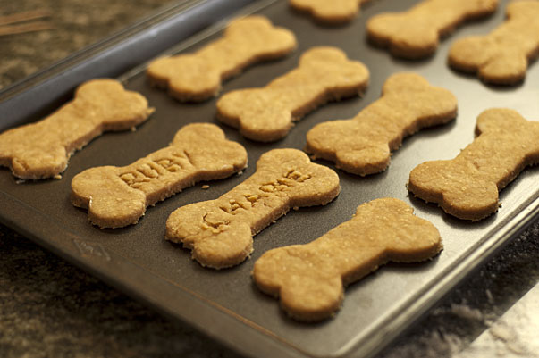 dog biscuits thermomix