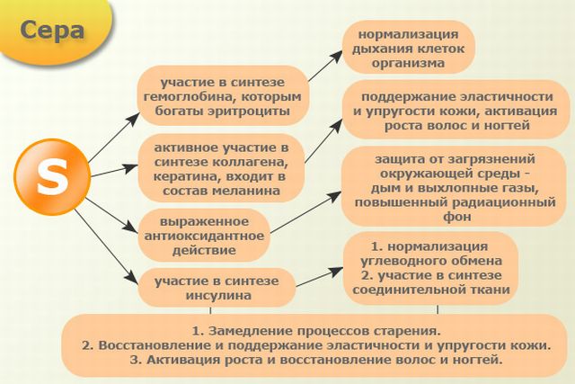 Метилсульфонилметан побочные действия. Метилсульфонилметан: инструкция по применению. На что стоит обратить внимание при выборе Бада с МSM