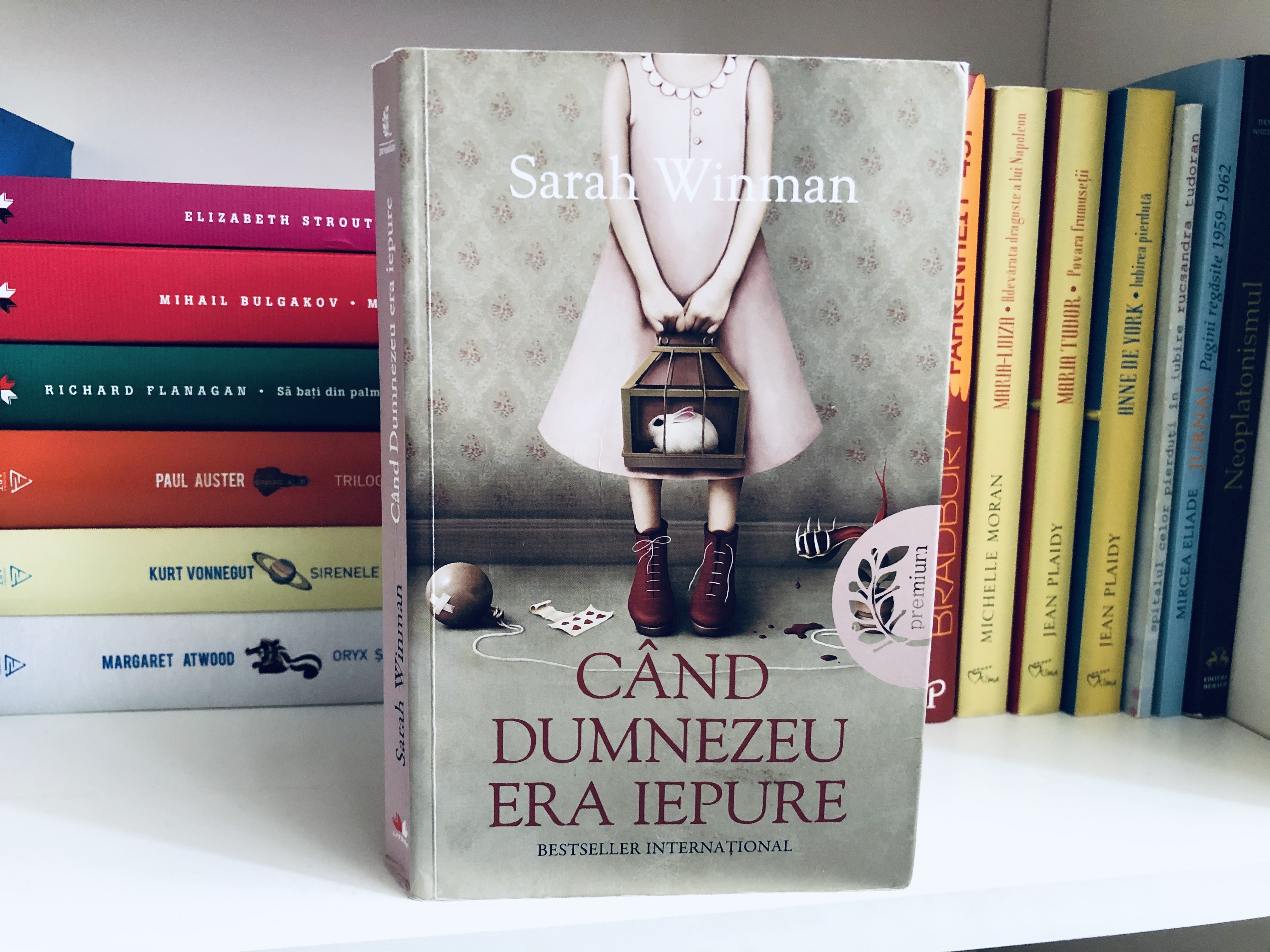 Cand Dumnezeu Era Iepure Recenzie Cristina Boncea Blog De Carte