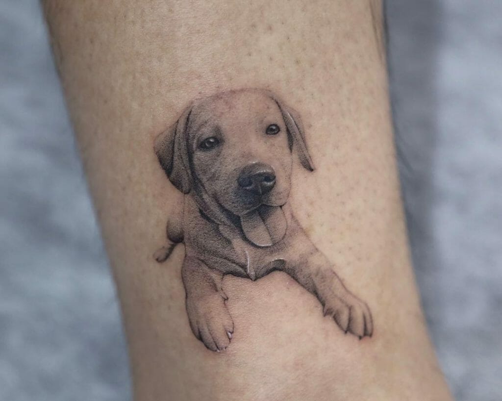 10 Best Labrador Tattoo Ideas That Will Blow Your Mind! | Outsons | Men's Fashion Tips And Style Guides 818_x_1024_jpg