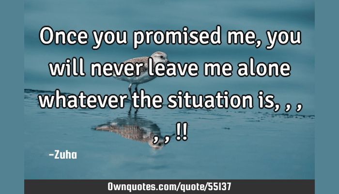 We may earn commission on some of the items you choose to buy. Once You Promised Me You Will Never Leave Me Alone Whatever Ownquotes Com