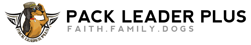 Pack Leader Plus Dog Boarding Daycare Pet Sitting Training Grooming