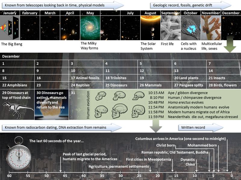 Create date, may 1, 2014. Palaeos: Time: The Cosmic Calendar