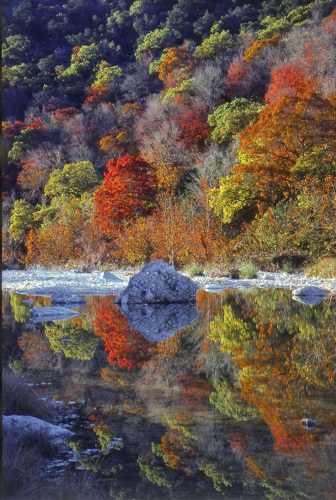38+ Clever What Do You See If You Re Color Blind / Passport to Texas Â» Blog Archive Â» Fall Events in State : Primary, secondary, and tertiary colors.
