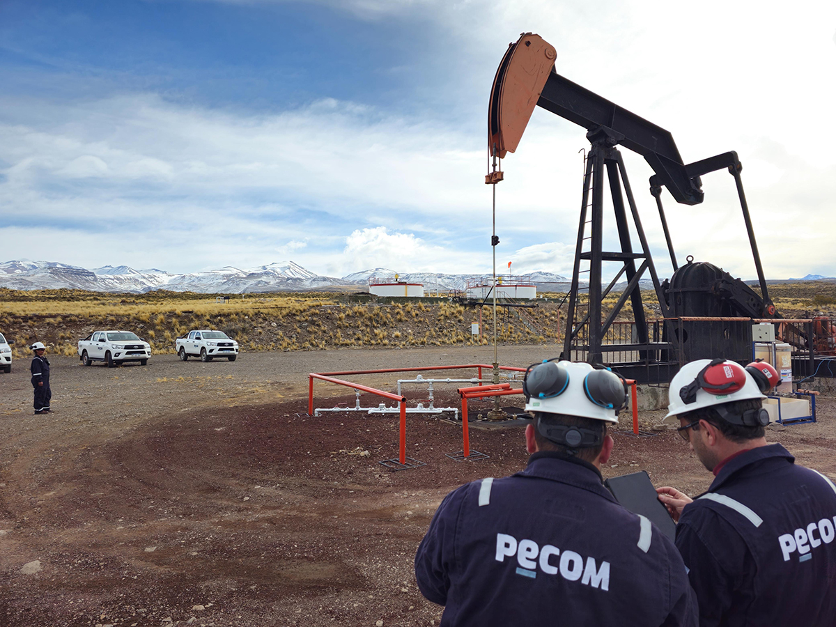 Imagen de la noticia "PECOM adquirió el bloque El Corcobo de YPF y sumó 19 mil barriles" publicada por patagoniashale.com.ar