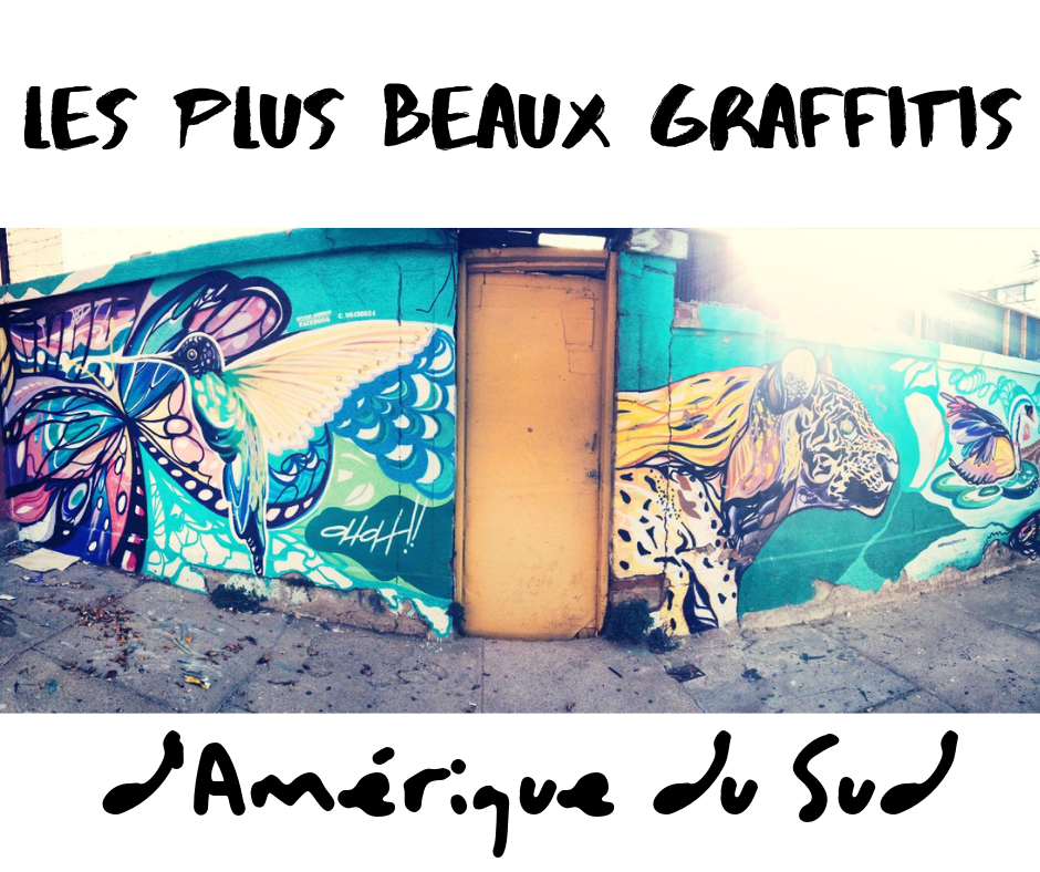 Ma Selection Des Plus Beaux Graffitis D Amerique Du Sud Chroniques Du Nouveau Monde