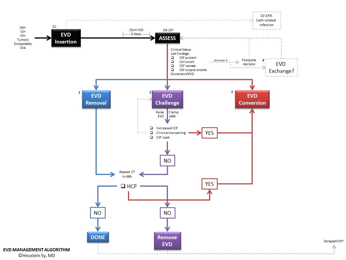 Seek advice from the aum, csn or cns. Evd Peripheral Brain