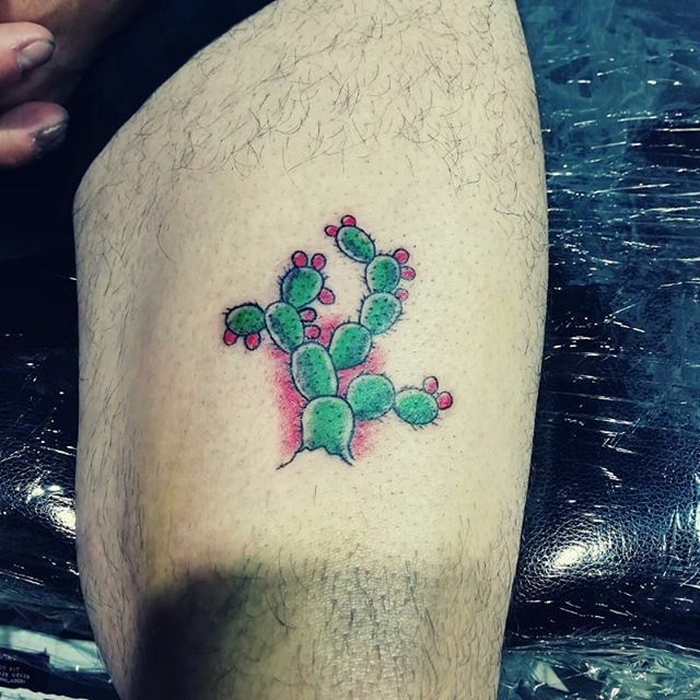 Fritter Pann A Twitter: "Nopales #Tattoo #Tattoos #Tatu #Tatuajes #Tatus #Tatuaje #Traditional #Tradi #Neotrad #Neotraditional #Nopaltattoo #Tatuadores #Tatuadoresmexicanos #Nopal #Mexican #Mexico #Fritterpann #Cdmx #Madeinmexico Https://T.co ... 640_x_640_jpg