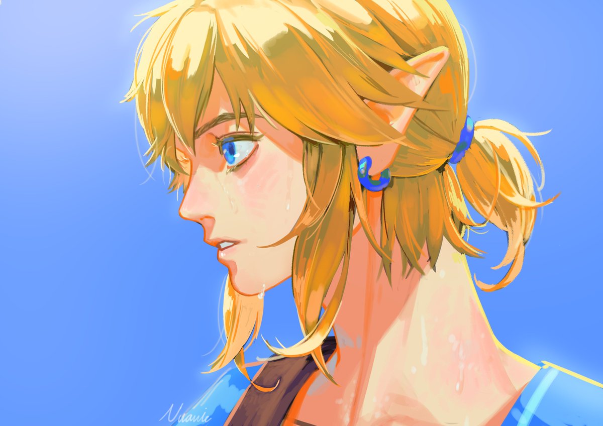 Long hair styles · link botw. Nuavic On Twitter Botw Why Link Is So Hot Https T Co Agajh2brav Twitter