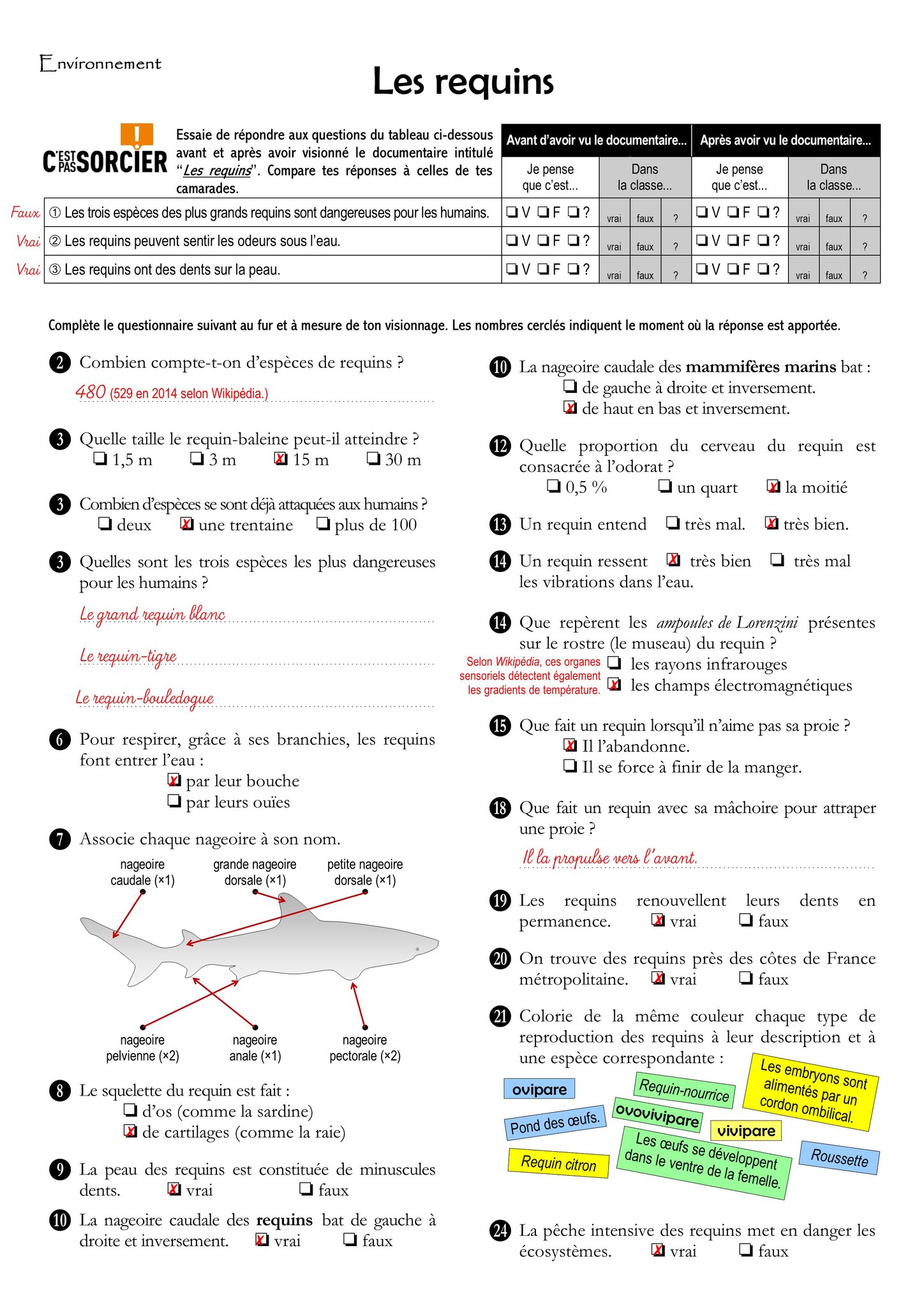 Le Plus Rapide Questionnaire C Est Pas Sorcier Dinosaures