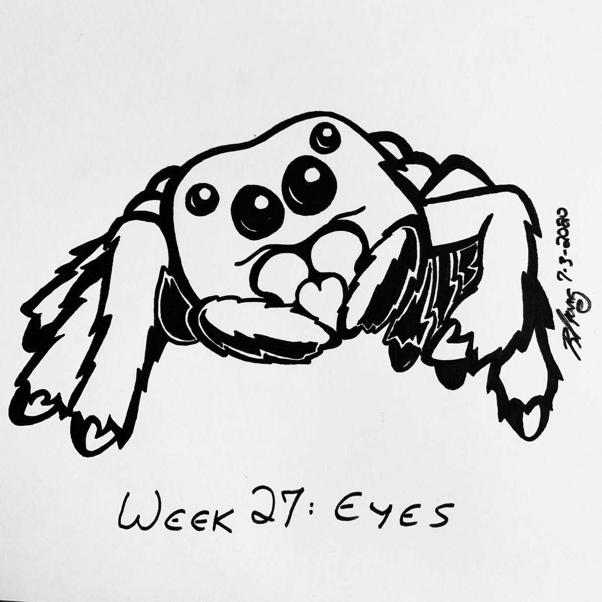 Cartoon jumping spider drawing lesson. Cutespider Twitter Search Twitter