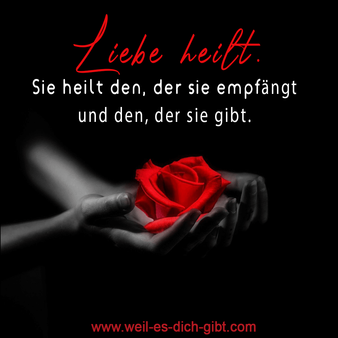 Weil Es Dich Gibt Na Twitteru Liebe Heilt Spruche Und Zitate Https T Co 5frsfjibaj Wenn Seelenpartner Sich Begegnen 48 Bezaubernde Karten Mit Anleitung Auf Amazon Https T Co Ma0pae8ilk Liebe Spruch Zitat Germanmediart