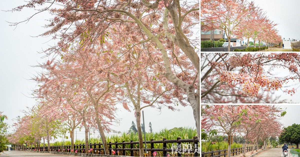 壽司郎 點餐攻略 這樣點壽司最划算 訂好位不排隊又美味 懷陞足跡從台南出發