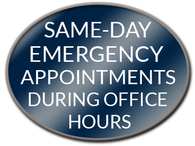 Dentist Office Hours  . Weather You Are Looking For Emergency Dentist, Or For Qualified Dental Professionals, 911 Dental Has You Covered!