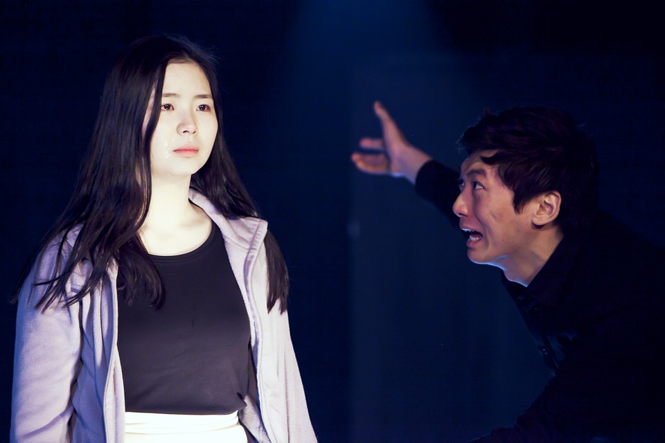 Difference Between Defining and Non defining Relative Clauses