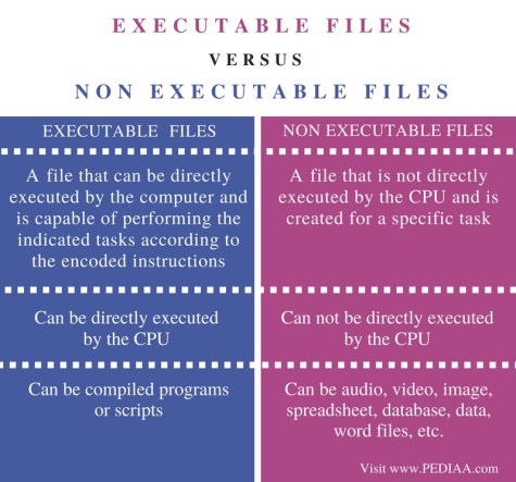 Difference Between Executable and Non Executable Files - Pediaa.Com