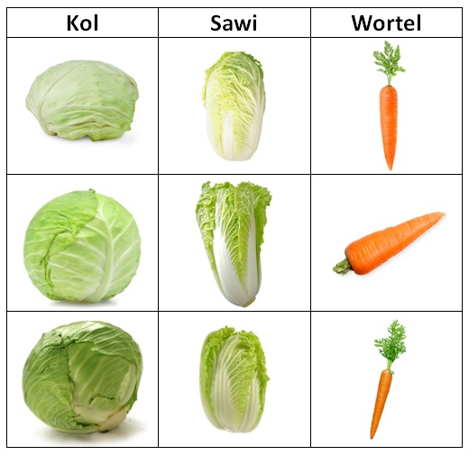 Klasifikasi Jenis Sayuran Menggunakan Algoritma PCA dan KNN | Pemrograman  Matlab