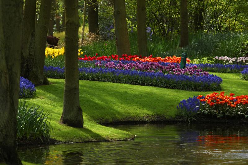 starck perfume peau de soie