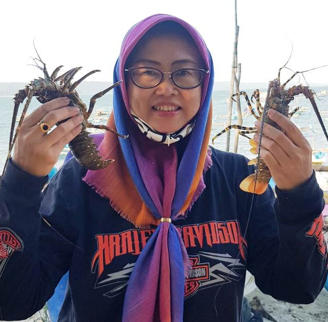 Rahasia Kesuksesan Budidaya Lobster : Udang, Keong Atau Ikan Rucah yang  Paling Tepat Untuk Pakan Lobster? | Perikanan - PSDKU Unpad Pangandaran