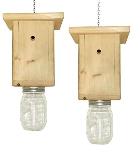 Here's how to prevent bed bugs from infesting your house. Best Carpenter Bee Trap 2021 | TOP 15 Carpenter Bee Traps