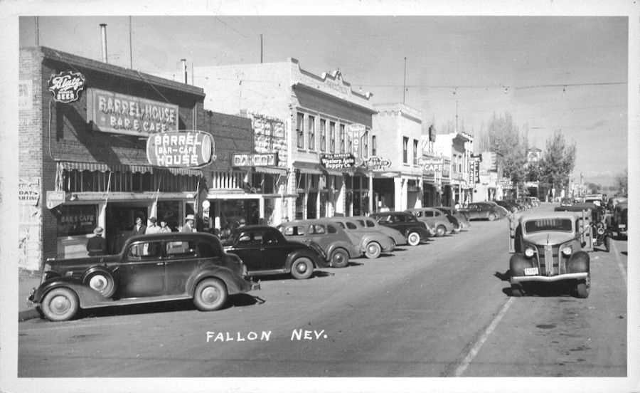 Nevada Fallon Postcards Peter D.